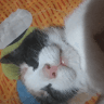 wuqqified